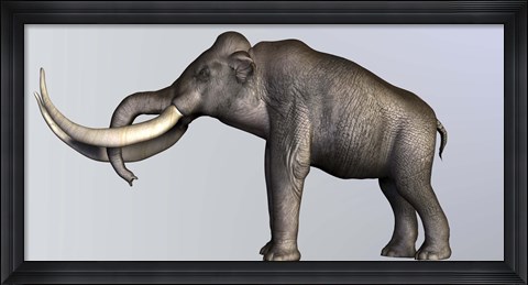 Framed Profile view of Columbian Mammoth Print