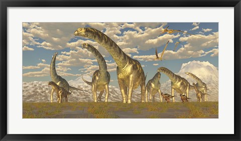 Framed Hypsilophodon and pteranodon dinosaurs accompany a herd of Argentinosaurus Print