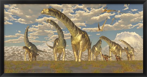 Framed Hypsilophodon and pteranodon dinosaurs accompany a herd of Argentinosaurus Print