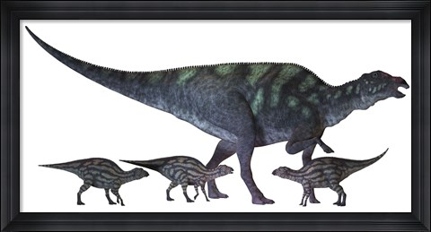 Framed Maiasaura dinosaur with offspring Print