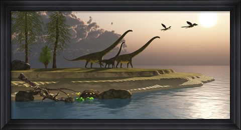 Framed Mamenchisaurus dinosaurs walk to a lake for a morning drink Print