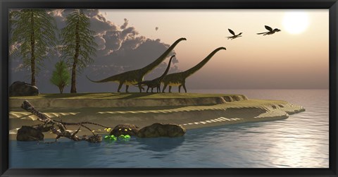 Framed Mamenchisaurus dinosaurs walk to a lake for a morning drink Print