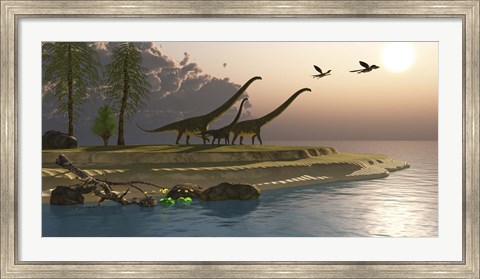 Framed Mamenchisaurus dinosaurs walk to a lake for a morning drink Print