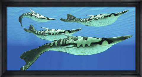 Framed Pteraspis is an extinct genus of jawless ocean fish that lived in the Devonian period Print