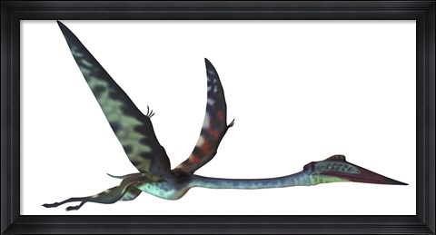 Framed Quetzalcoatlus predatory pterosaur Print