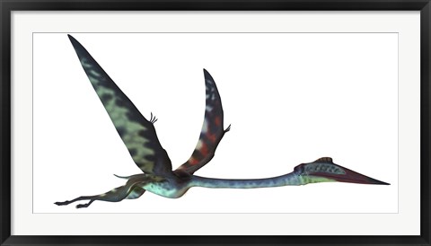 Framed Quetzalcoatlus predatory pterosaur Print