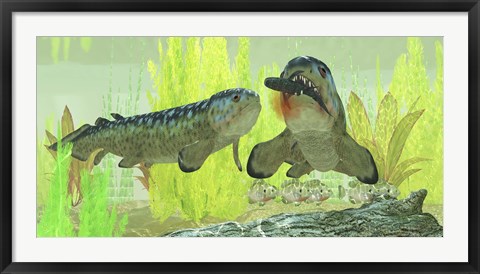 Framed Rhizodus hibberti, a group of Carboniferous lobe-finned fish Print