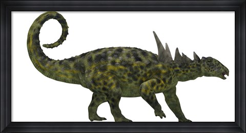 Framed Sauropelta was a heavily armored dinosaur from the Cretaceous Period Print