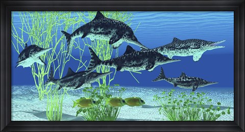 Framed Stenopterygius is an extinct icthyosaur from the Jurassic Age of Europe Print