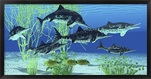 Framed Stenopterygius is an extinct icthyosaur from the Jurassic Age of Europe Print