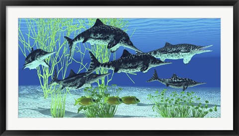 Framed Stenopterygius is an extinct icthyosaur from the Jurassic Age of Europe Print