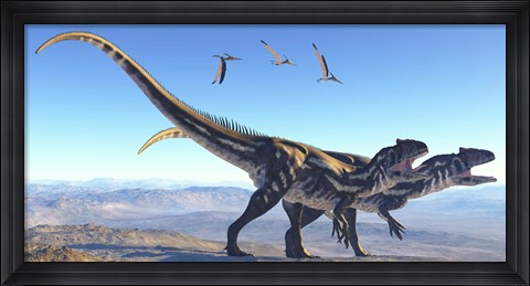 Framed Two Allosaurus dinosaurs look for prey on a high mountain Print