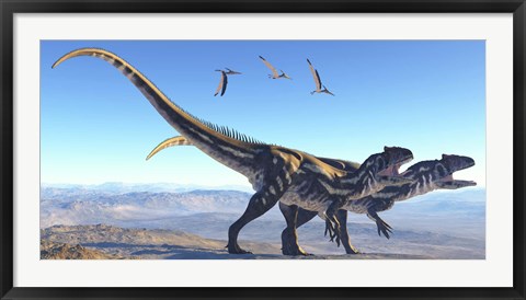Framed Two Allosaurus dinosaurs look for prey on a high mountain Print