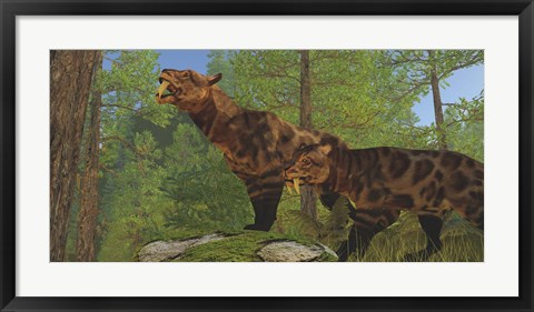 Framed Two Saber-Toothed Cats search for prey in a pine forest Print