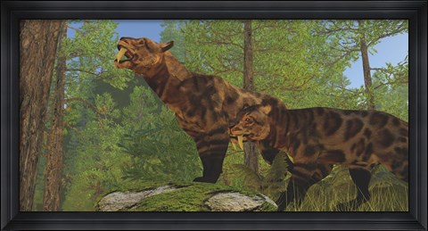Framed Two Saber-Toothed Cats search for prey in a pine forest Print
