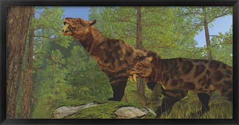 Framed Two Saber-Toothed Cats search for prey in a pine forest Print