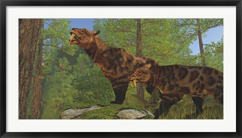 Framed Two Saber-Toothed Cats search for prey in a pine forest Print