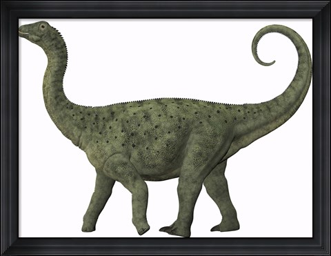 Framed juvenile Saltasaurus sauropod dinosaur of the Cretaceous Period Print