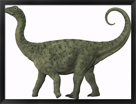 Framed juvenile Saltasaurus sauropod dinosaur of the Cretaceous Period Print