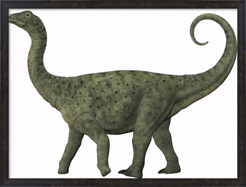 Framed juvenile Saltasaurus sauropod dinosaur of the Cretaceous Period Print
