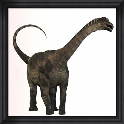 Framed Antarctosaurus dinosaur from the Cretaceous Period Print