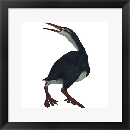 Framed Hesperornis was a a flightless bird that lived during the Cretaceous Period Print