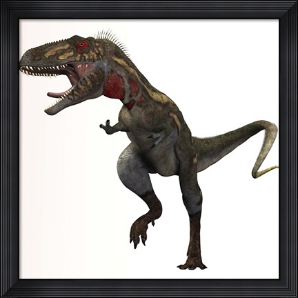 Framed Nanotyrannus dinosaur Print