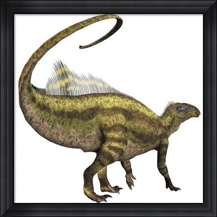 Framed Tenontosaurus dinosaur from the Cretaceous Period Print
