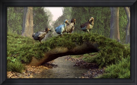 Framed group of Dodo birds crossing a natural bridge over a stream Print