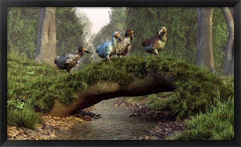 Framed group of Dodo birds crossing a natural bridge over a stream Print