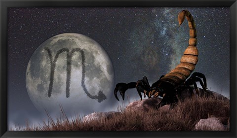 Framed Scorpio is the eighth astrological sign of the Zodiac Print