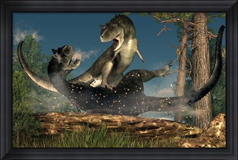 Framed couple of Carnotaurus dinosaurs fighting Print