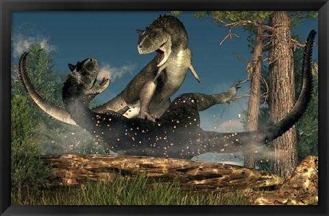 Framed couple of Carnotaurus dinosaurs fighting Print