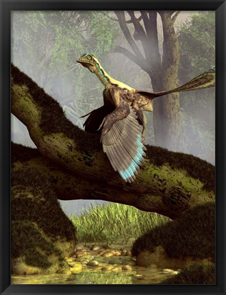 Framed Archaeopteryx on a log above a stream Print