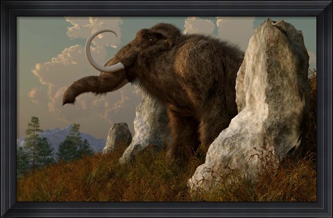 Framed mammoth standing among stones on a hillside Print