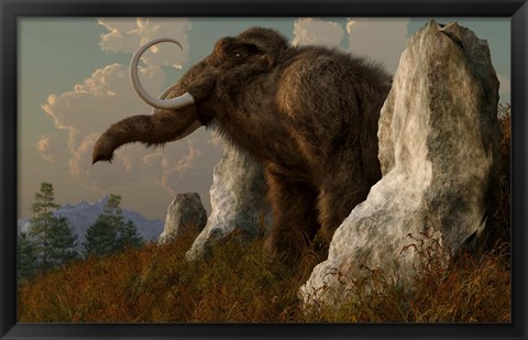 Framed mammoth standing among stones on a hillside Print