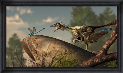 Framed Archaeopteryx stalks a dragonfly on a rock Print