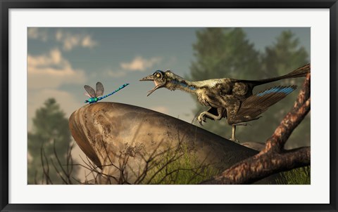 Framed Archaeopteryx stalks a dragonfly on a rock Print