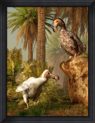 Framed pair of Dodo birds play a game of hide-and-seek Print