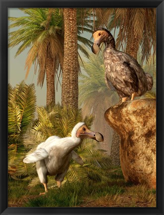 Framed pair of Dodo birds play a game of hide-and-seek Print