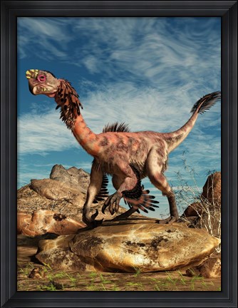 Framed Citipati on a rock in an arid landscape Print