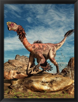 Framed Citipati on a rock in an arid landscape Print