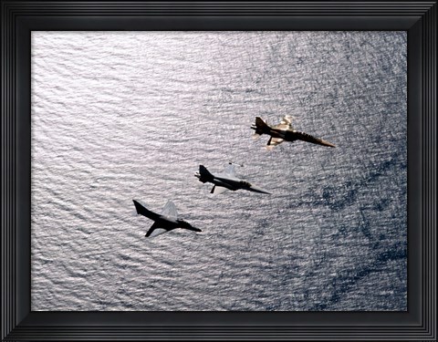 Framed F-5F Tiger II, F-5E Tiger II and A-4 Skyhawk Print