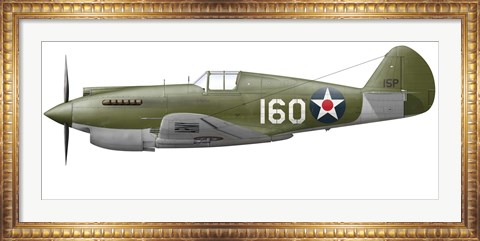 Framed Illustration of a Curtis P-40 Warhawk Print