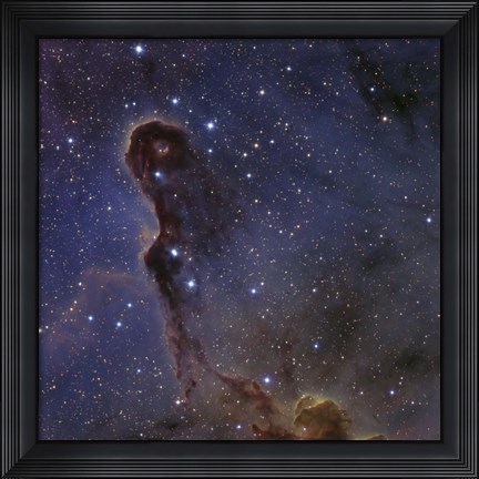 Framed Elephant&#39;s Trunk Nebula in the star cluster IC 1396 Print