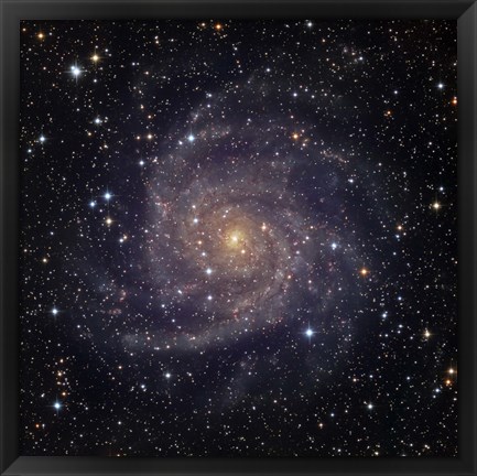 Framed IC 342, an intermediate spiral galaxy in the constellation Camelopardalis Print