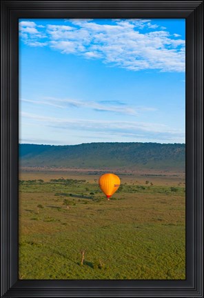 Framed Kenya, Maasai Mara, hot air ballooning at sunrise Print