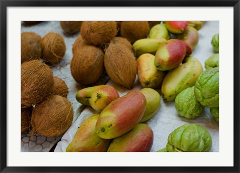 Framed Mangos and coconuts at the market on Mahe Island Print