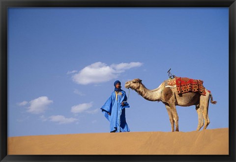 Framed Man leading camel on sand dunes, Tinfou (near Zagora), Morocco, Africa Print