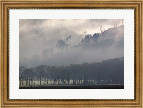 Framed Mist rising from escarpment, Lake Nakuru National Park, Kenya Print